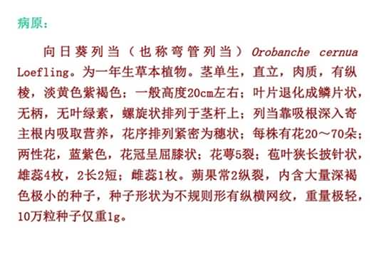 無(wú)標題.jpg向1_副本.jpg