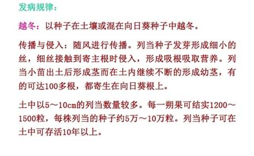 無(wú)標題.jpg向4_副本.jpg