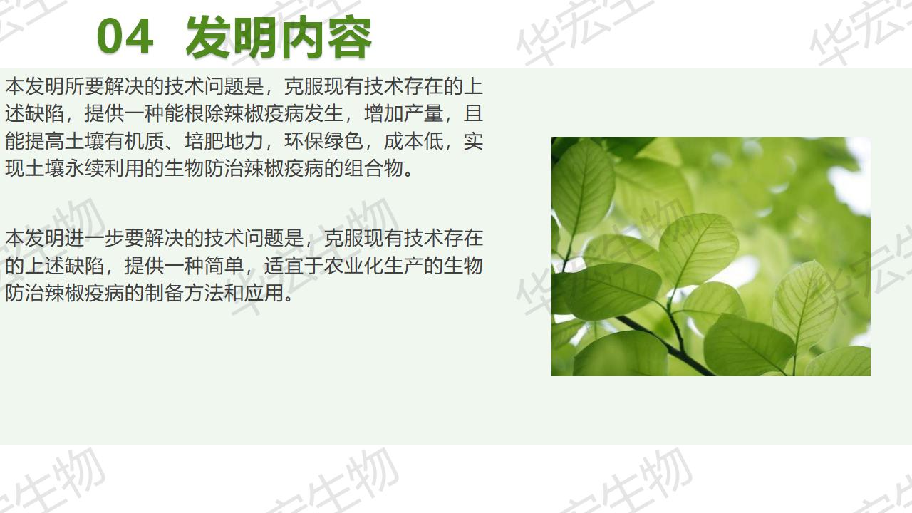 一種生物防治辣椒疫病的組合物及制備方法和應用_13.jpg