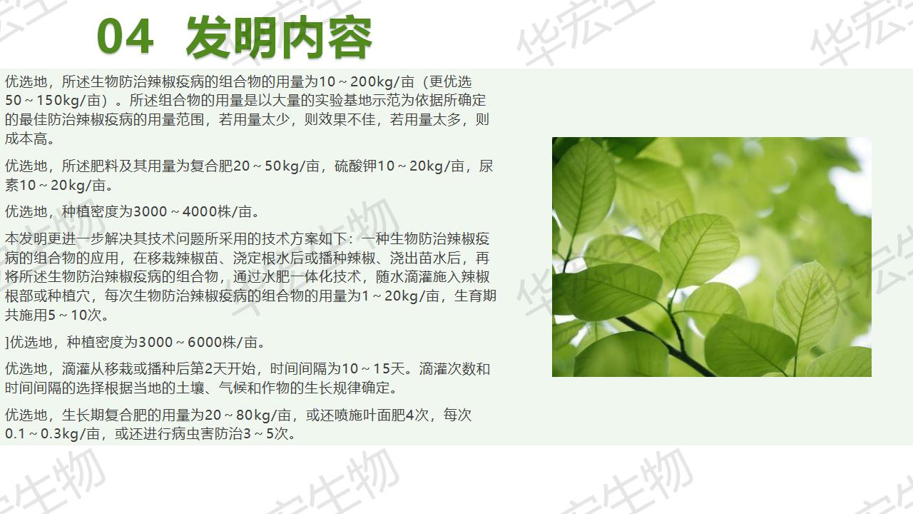 一種生物防治辣椒疫病的組合物及制備方法和應用_18.jpg