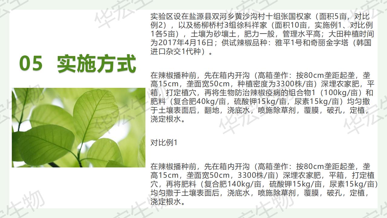 一種生物防治辣椒疫病的組合物及制備方法和應用_21.jpg